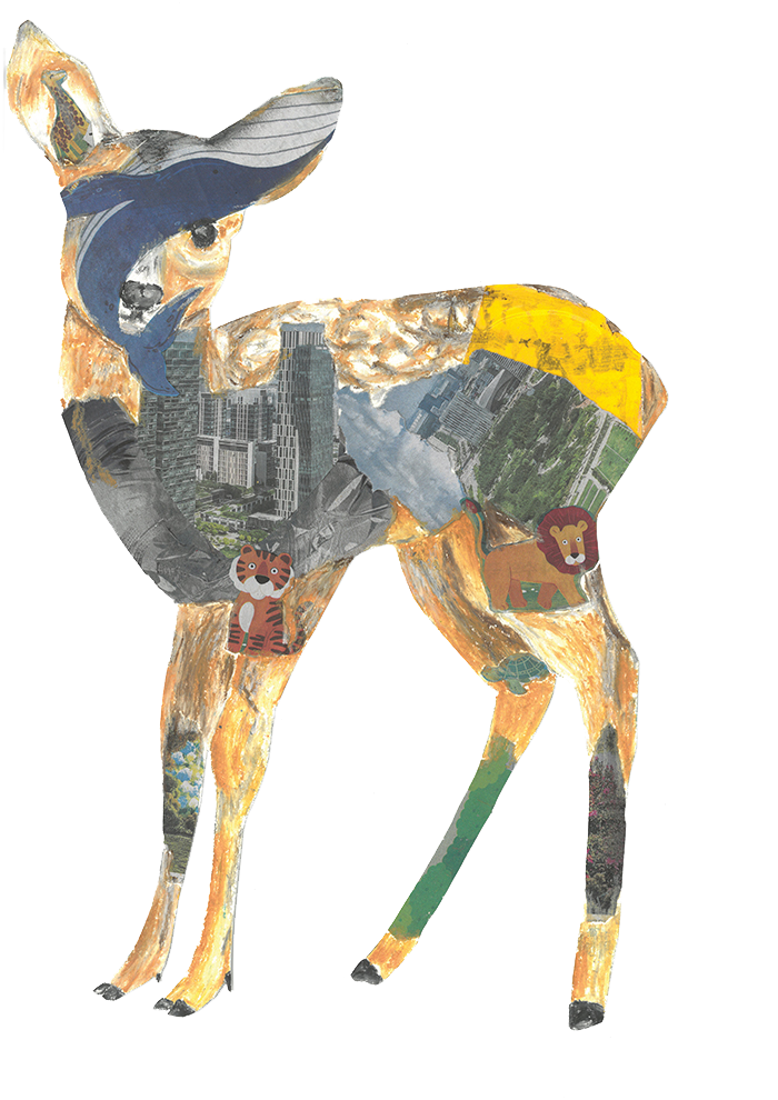 b82d3bfc32004a1f999e3f1582fa1afa.png